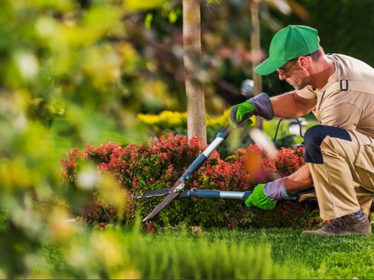 Landscaping — an industry we work with