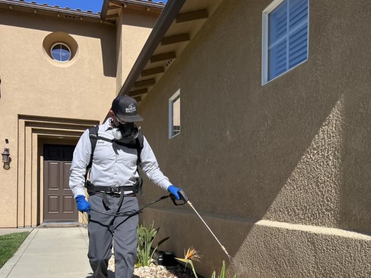 Pest Control — an industry we work with